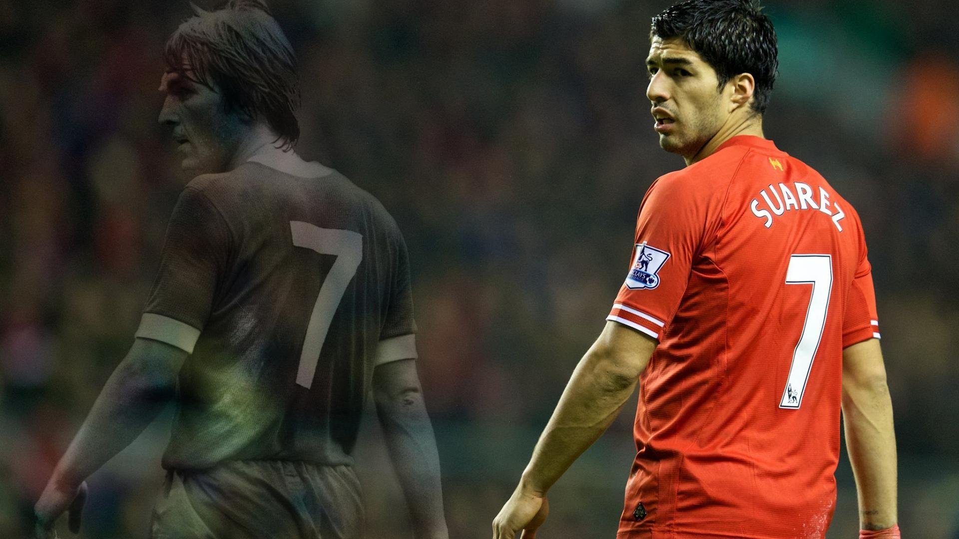 德国马术协会与科技公司合作,开发虚拟现实训练平台,提升骑手技能。